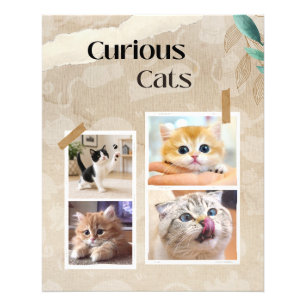 Curious Cats Collage Photo Print