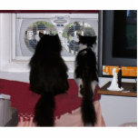 Curious Cats Photo Sculpture Key Ring<br><div class="desc">Curious Cats gaze out the window at??</div>