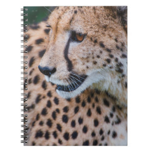 CURIOUS CHEETAH NOTEBOOK