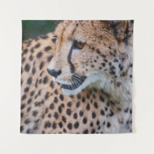 CURIOUS CHEETAH TAPESTRY