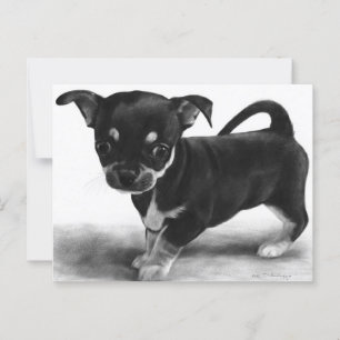 Curious Chihuahua Puppy - hand painted artwork Postcard