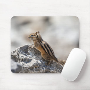 Curious Chipmunk – Canadian Wildlife Photography Mouse Mat