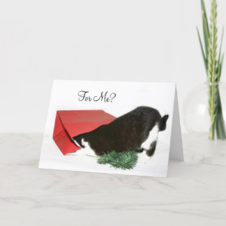 Curious Christmas cat Holiday Card