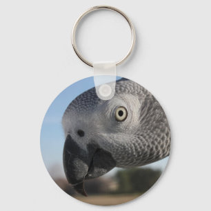 Curious Congo African Grey Parrot Key Ring
