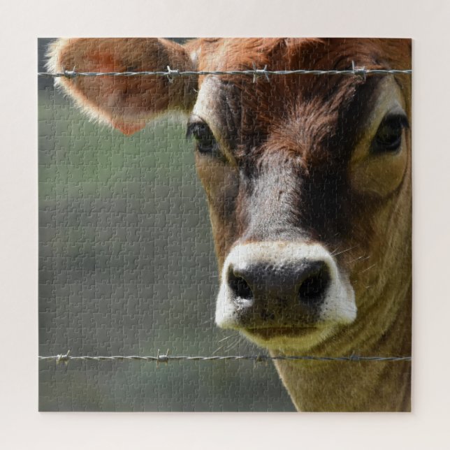 Curious Cow Looking Through a Barbed Wire Fence Jigsaw Puzzle (Vertical)