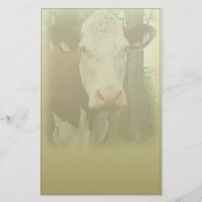 Curious Cow Stationery (Front)