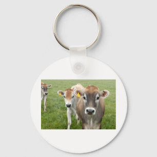 Curious cows key ring