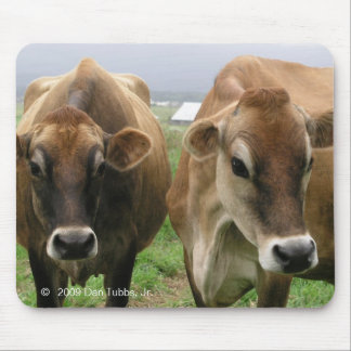 Curious cows mouse mat