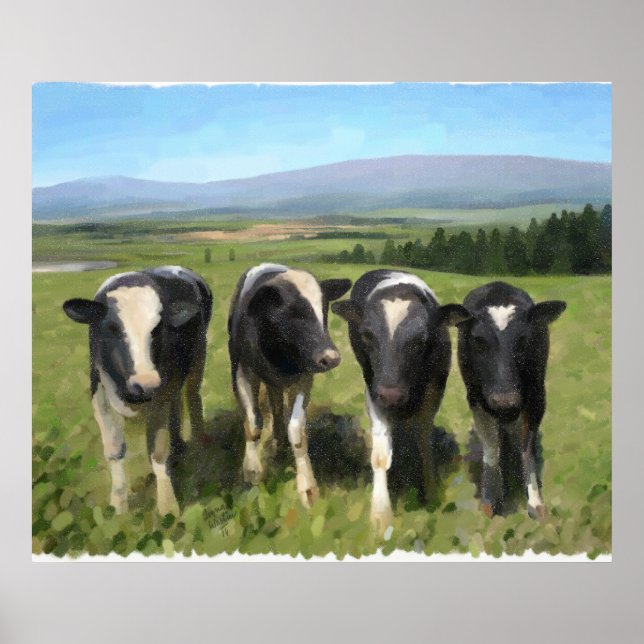 Curious cows poster (Front)