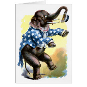 Curious Creatures - Elephant