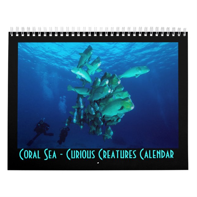 Curious Creatures Great Barrier Reef Coral Sea Calendar (Cover)