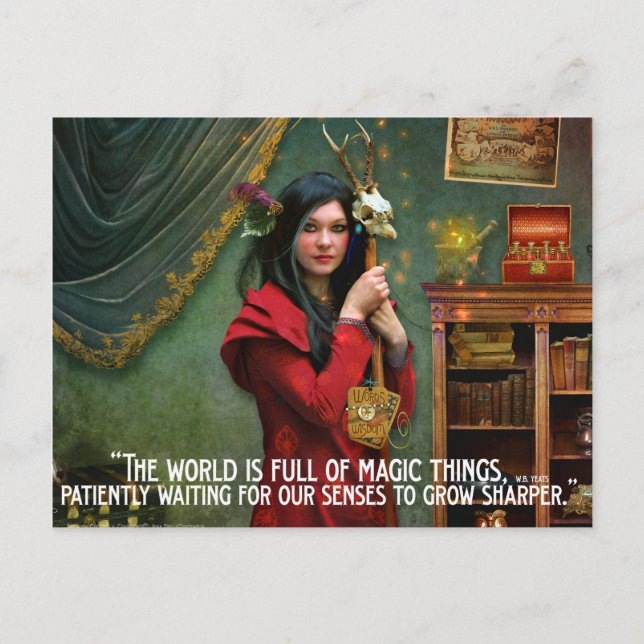 Curious  curator  postcard (Front)