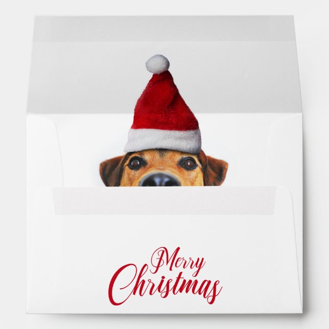 Curious Cute Funny Dog with Santa Hat Envelope (Back (Bottom))