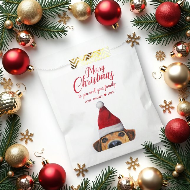 Curious Cute Funny Dog with Santa Hat Favour Bags (Creator Uploaded)