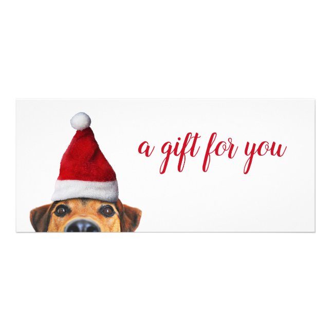 Curious Cute Funny Dog with Santa Hat Gift Card (Front)