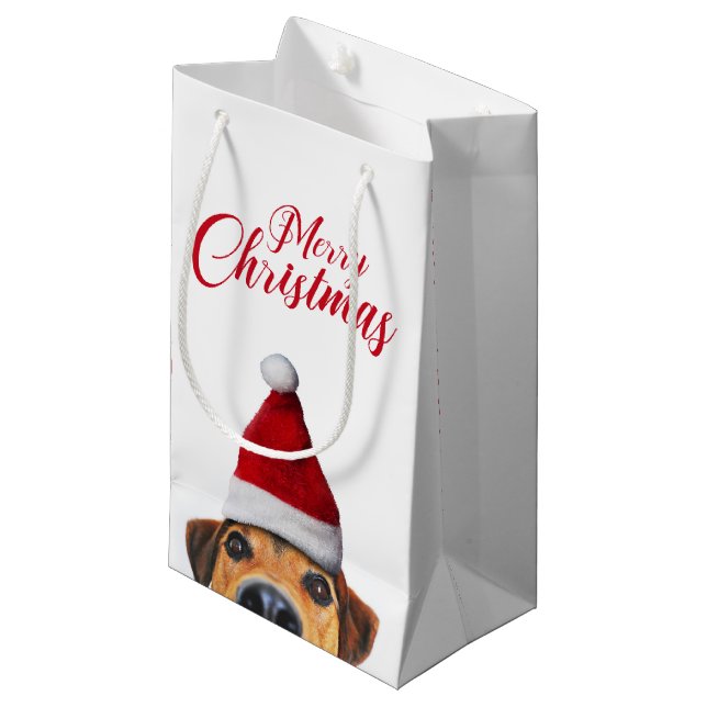 Curious Cute Funny Dog with Santa Hat Small Gift Bag (Front Angled)