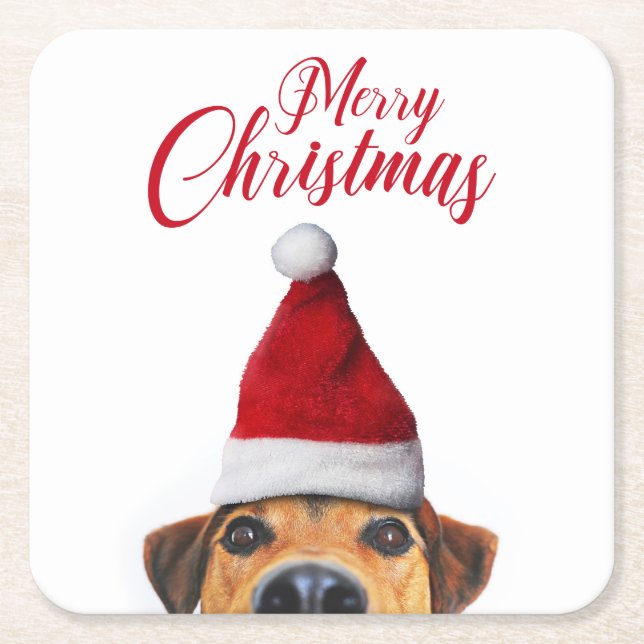 Curious Cute Funny Dog with Santa Hat Square Paper Coaster (Front)