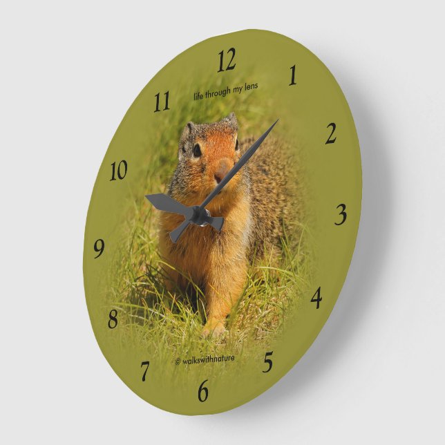 Curious Cute Hungry Columbian Ground Squirrel Large Clock (Angle)