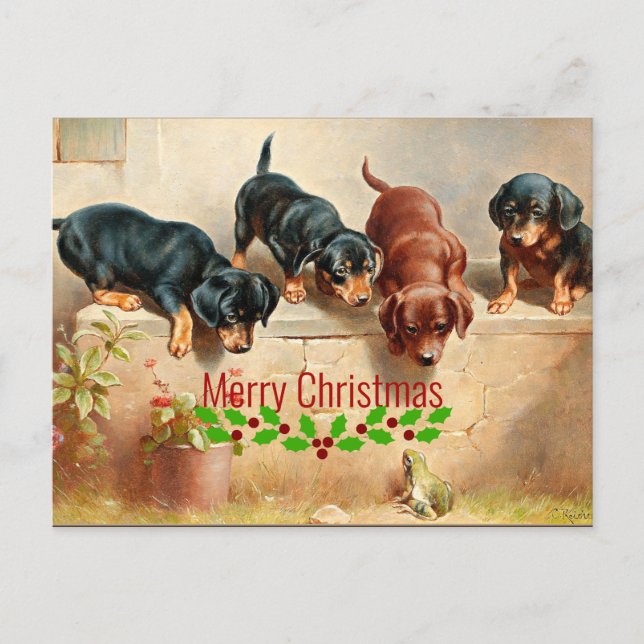 Curious Dachshund Puppies and a Frog, Christmas Postcard (Front)