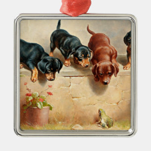 Curious Dachshund Puppies and a Frog Metal Tree Decoration