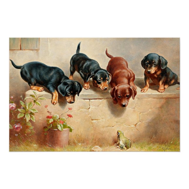 Curious Dachshund Puppies and a Frog Poster (Front)