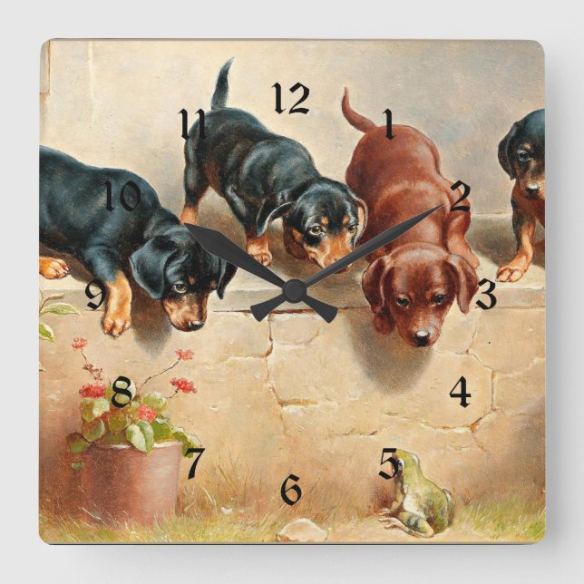 Curious Dachshund Puppies and a Frog Square Wall Clock (Front)