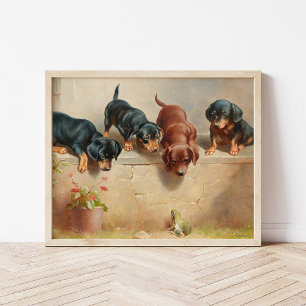 Curious Dachshund Puppies Carl Reichert Poster