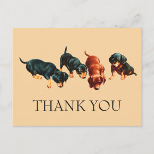 Curious Dachshund Puppies Vintage Wiener Dogs Postcard