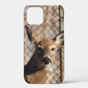 Curious Deer in the Woods  iPhone 12 Case
