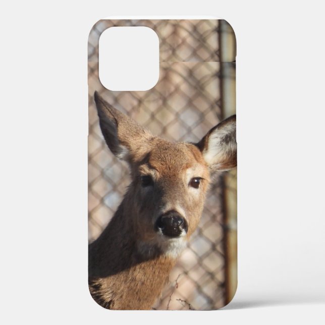 Curious Deer in the Woods  Case-Mate iPhone Case (Back)