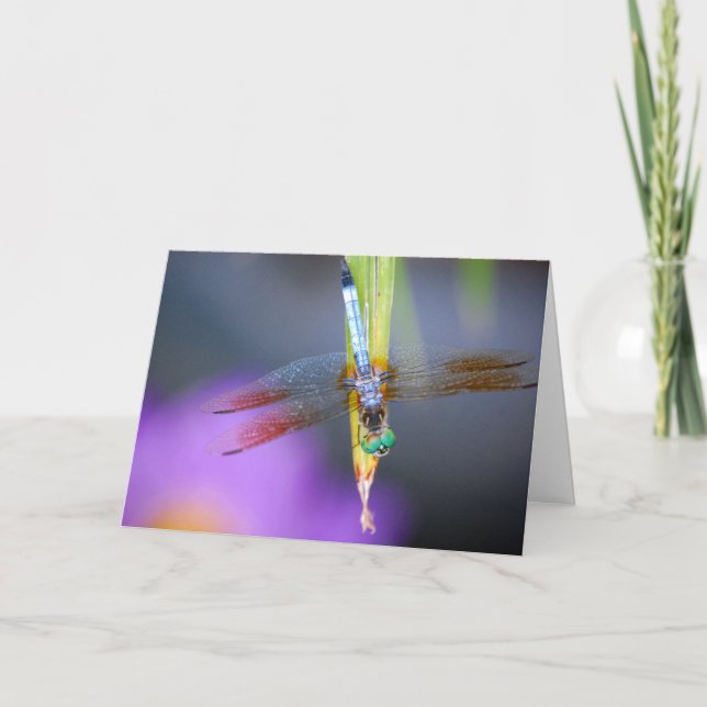Curious Dragonfly Poem - card (Front)