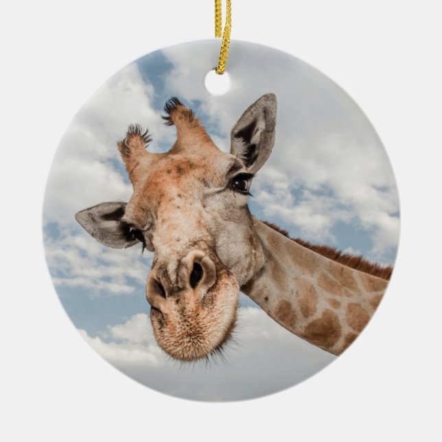 Curious Giraffe Ceramic Tree Decoration (Front)
