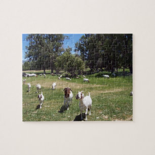 Curious Goats Jigsaw Puzzle