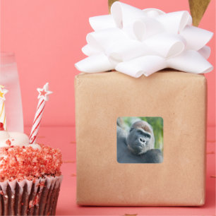 Curious Gorilla Standing Tall Square Sticker
