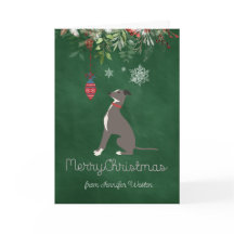 Curious Holiday Greyhound Puppy with Joyful Wishes