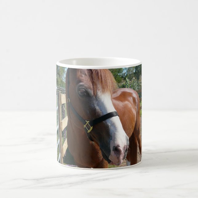 Curious Horse Coffee Mug (Center)