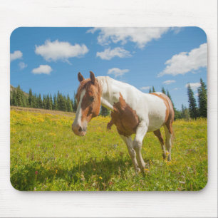 Curious Horse in an Alpine Meadow in Summer Mouse Mat
