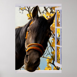 Curious Horse Looking Through a Kitchen Window Poster