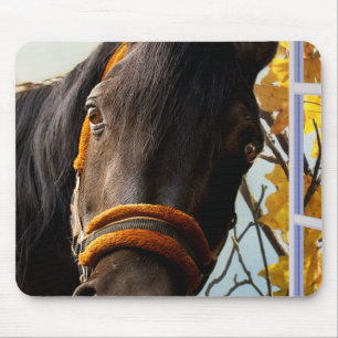 Curious Horse Looking Through The Kitchen Window Mouse Mat