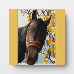 Curious Horse Looking Through The Kitchen Window Plaque
