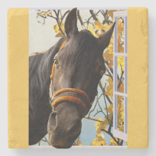 Curious Horse Looking Through The Kitchen Window Stone Coaster