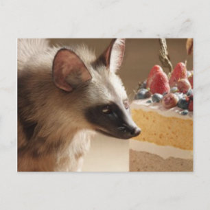 Curious Hyena & Cake Postcard