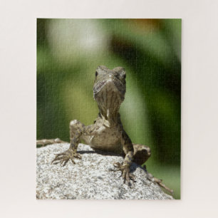 Curious Juvenile Lizard Jigsaw Puzzle