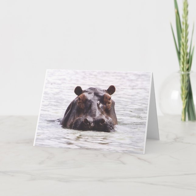 Curious Keeboko (Hippo) Card (Front)