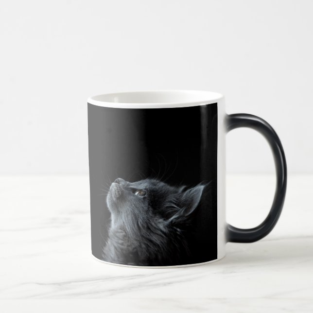 Curious Kitten Black Magic Mug (Right)