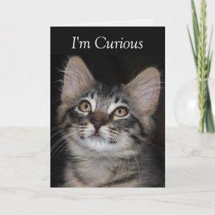 Curious Kitten I've Missed You Card