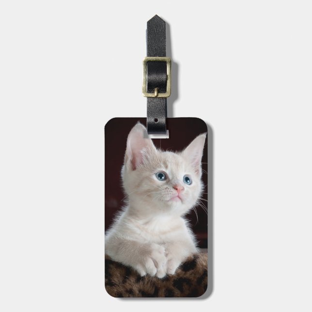 Curious kitten luggage tag (Front Vertical)