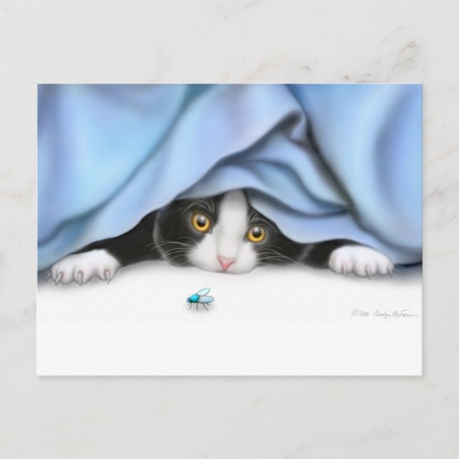 Curious Kitten Postcard (Front)