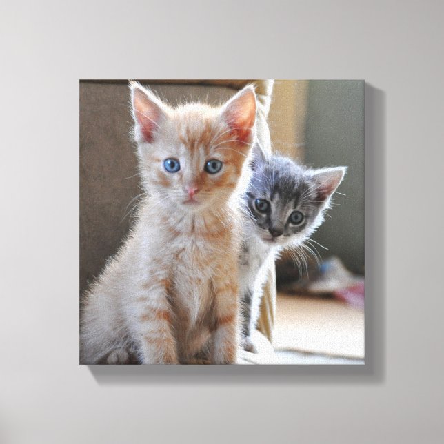 Curious Kittens Canvas Print (Front)