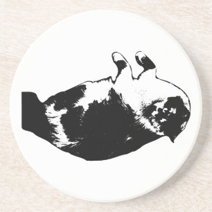 Curious Kitty Flip Coaster